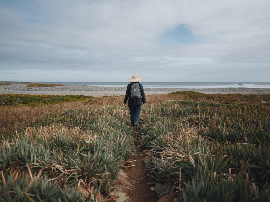 A beginner’s guide to leaving no trace on fragile coastal grasslands and shingle strands