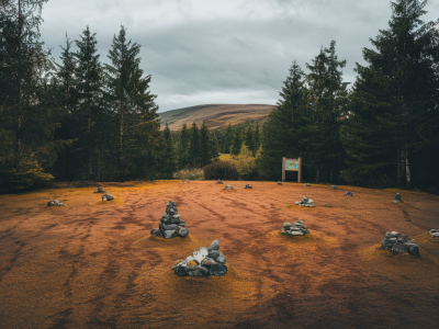 Reading sheep tracks and cairns: practical route-finding cues for crossing featureless upland bogs
